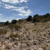 Photo of Mobile Home Lot