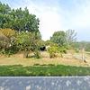Mobile Home for Sale: 1995 Mobile Home