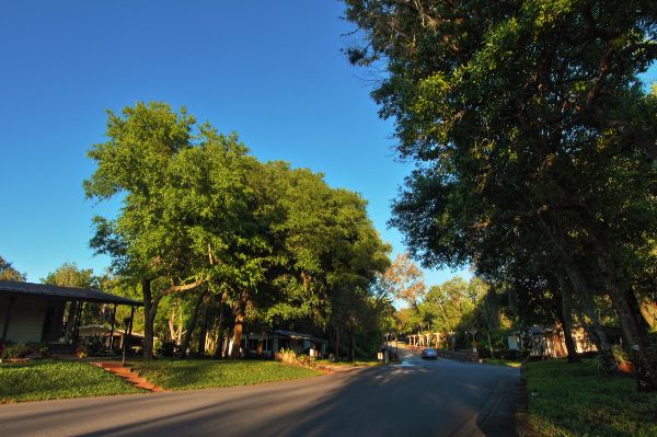 Charming, Woodsy Streetcapes