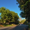 Charming, Woodsy Streetcapes