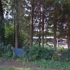 Mobile Home for Sale: 3 Bed 1 Bath 1980 Mobile Home
