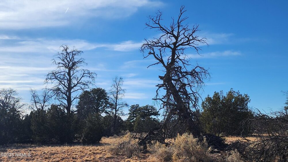 Photo of Mobile Home Lot