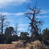 Photo of Mobile Home Lot