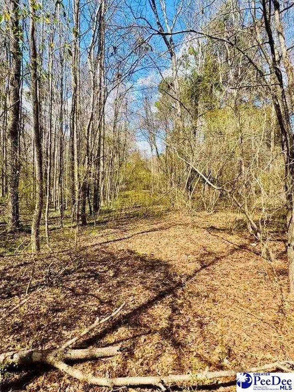 Photo of Mobile Home Lot