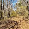 Photo of Mobile Home Lot