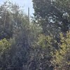 Photo of Mobile Home Lot