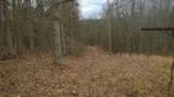 Photo of Mobile Home Lot