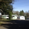 Fern View 2
