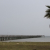 RV Park for Sale: lane rd rv park and cabin rentals cash sale , Seadrift, TX