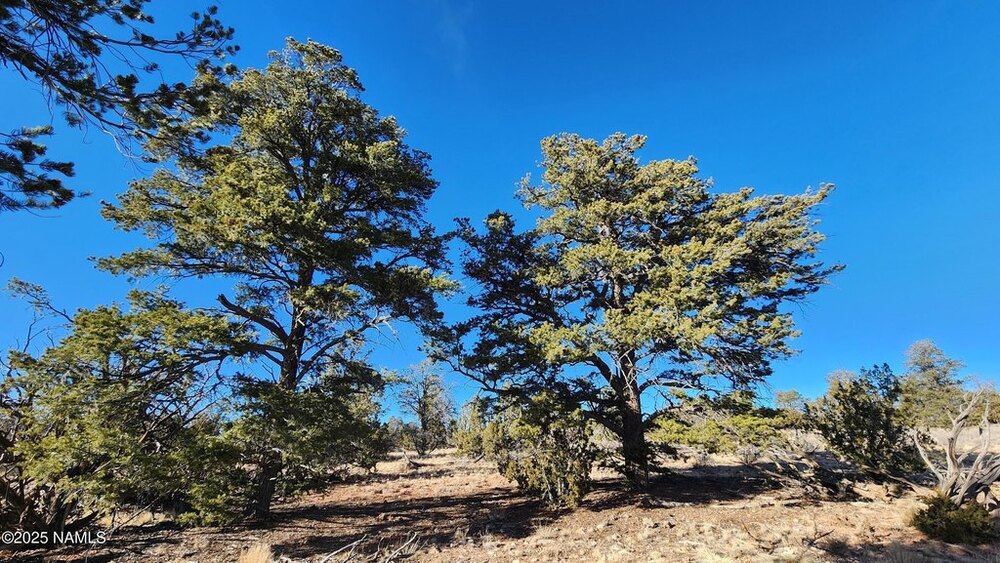 Photo of Mobile Home Lot