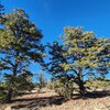 Photo of Mobile Home Lot