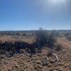 Photo of Mobile Home Lot
