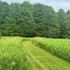 Mobile Home for Sale: Manufactured On Land, Manufactured Home,Mobile Home - Bovina, NY, Bovina, NY