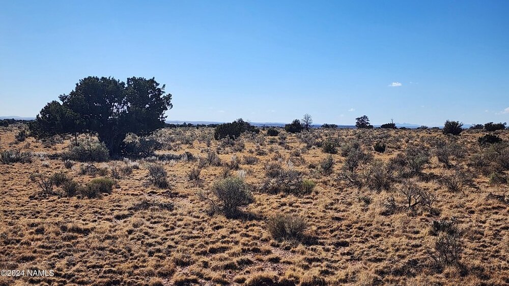 Photo of Mobile Home Lot