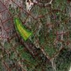 Mobile Home Lot for Sale: 2.00 acre Lot