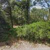 Mobile Home for Sale: 4 Bed 2 Bath 2013 Mobile Home