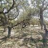 Mobile Home for Sale: 3 Bed 2 Bath 1992 Mobile Home