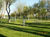 Photo of Trailer Court