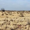 Photo of Mobile Home Lot