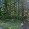 Mobile Home for Sale: 3 Bed 2 Bath 1994 Mobile Home