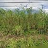 Mobile Home for Sale: 2 Bed 1 Bath 2005 Mobile Home