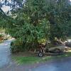 Mobile Home for Sale: 2 Bed 1 Bath 1988 Mobile Home