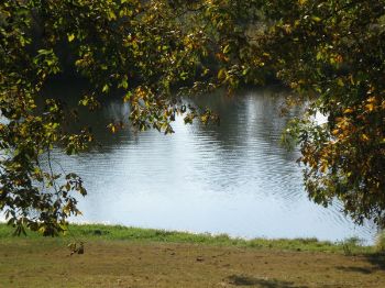 Photo of RV Park/Campground