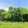 Mobile Home for Sale: 2008 Mobile Home