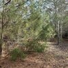 Photo of Mobile Home Lot