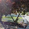 Mobile Home for Sale: 3 Bed 2 Bath 1994 Mobile Home