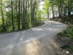 Photo of Mobile Home Lot