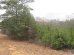 Photo of Mobile Home Lot