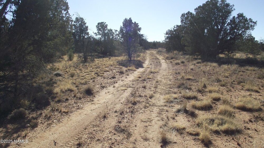 Photo of Mobile Home Lot