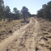 Photo of Mobile Home Lot