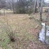 Mobile Home Lot for Sale: SC, ABBEVILLE - Land for sale., Abbeville, SC
