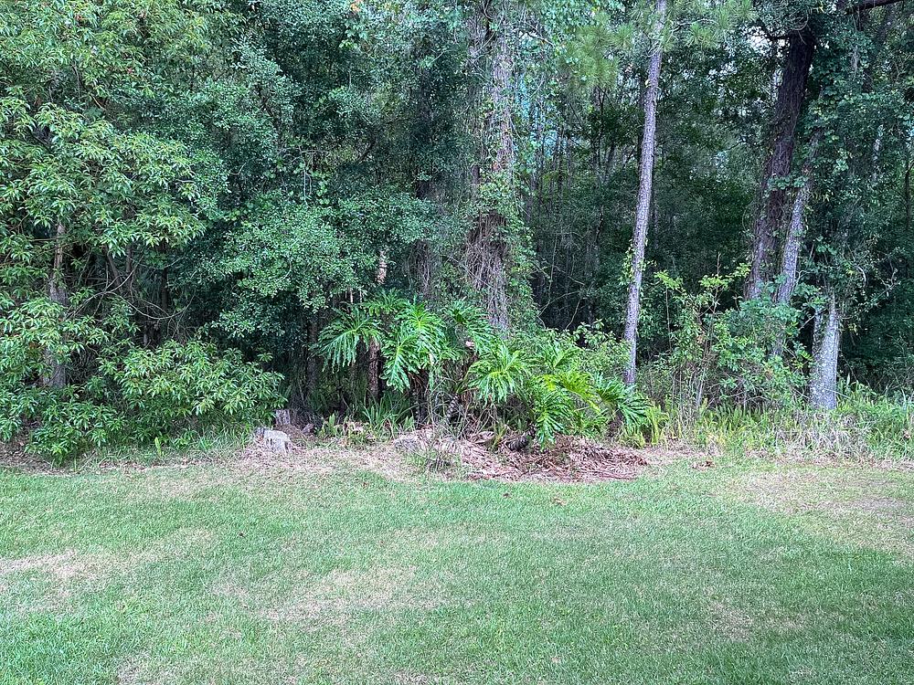 Photo 38