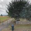 Mobile Home for Sale: 2001 Mobile Home