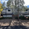 RV for Sale: 2020 CATALINA 303KDS