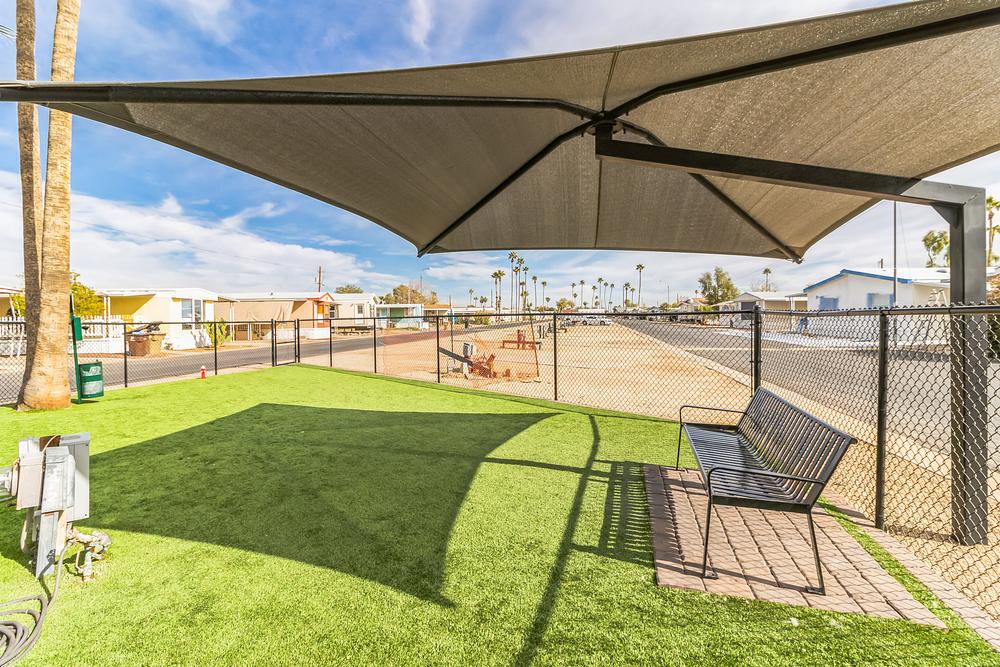 2048x1365 10810 N 91st Ave  Peoria  AZ 85345  USA ThuJan1820241705551652211.JPG