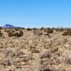 Photo of Mobile Home Lot