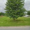 Mobile Home for Sale: 1992 Mobile Home