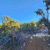 Photo of Mobile Home Lot