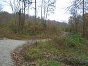 Photo of Mobile Home Lot