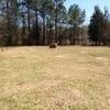 Mobile Home Lot for Sale: 3.02 acre Lot