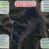 RV Lot for Sale: 44-Acre Wooded TN Retreat with RV Hookups, City Water & Multiple Build Sites, Linden, TN
