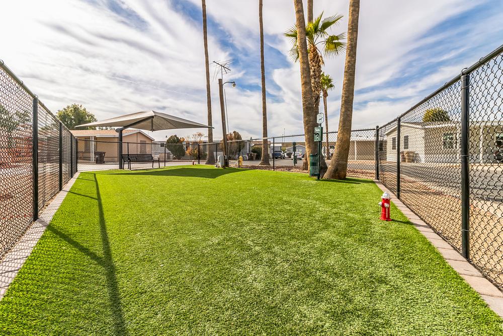 2048x1365 10810 N 91st Ave  Peoria  AZ 85345  USA ThuJan1820241705551649730.JPG