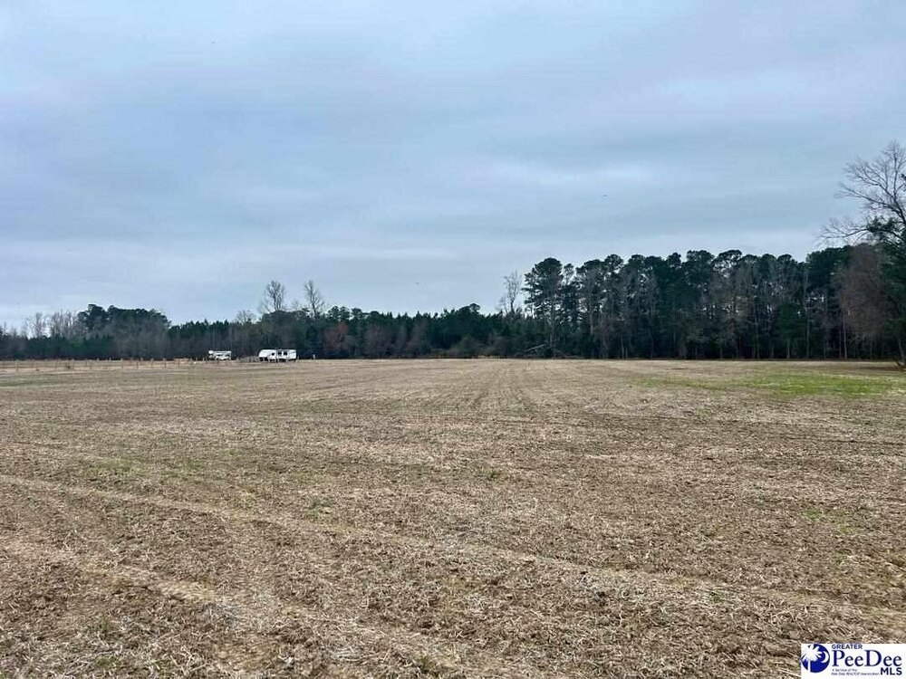 Photo of Mobile Home Lot