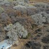 Photo of Mobile Home Lot