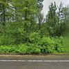 Mobile Home for Sale: 1991 Mobile Home