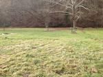 Photo of Mobile Home Lot